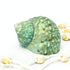 Jade Green Polished Turbo Shell
